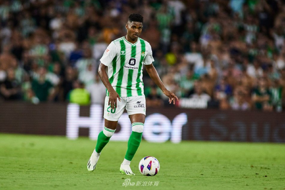 动以及定制 动以及定制